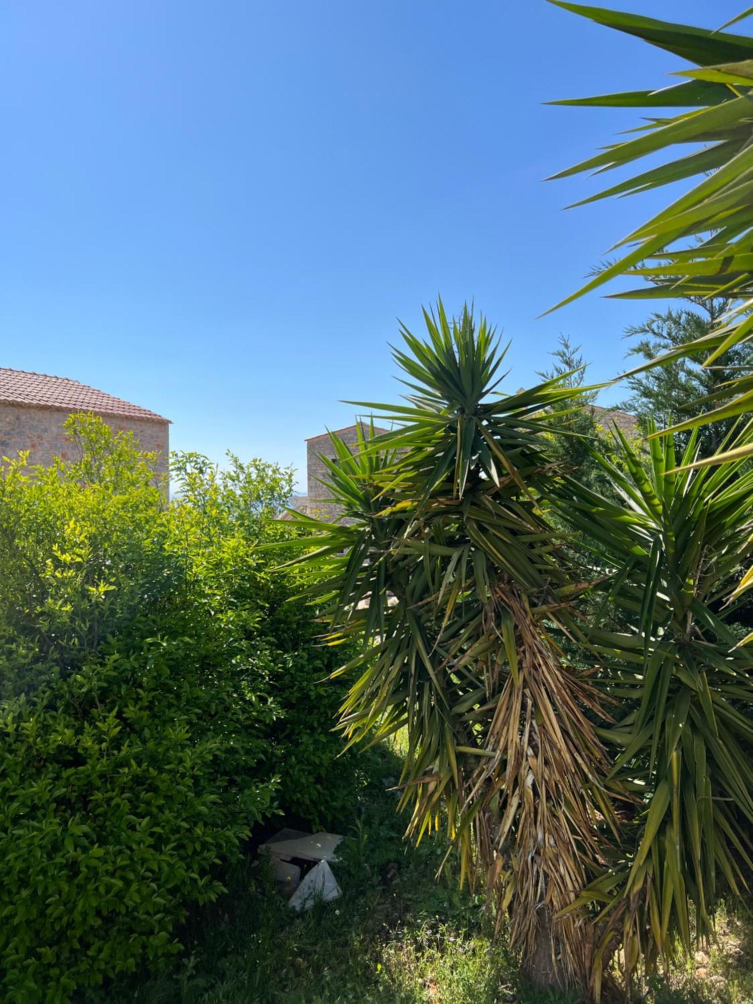 Koukouri Village Kafiona Buitenkant foto