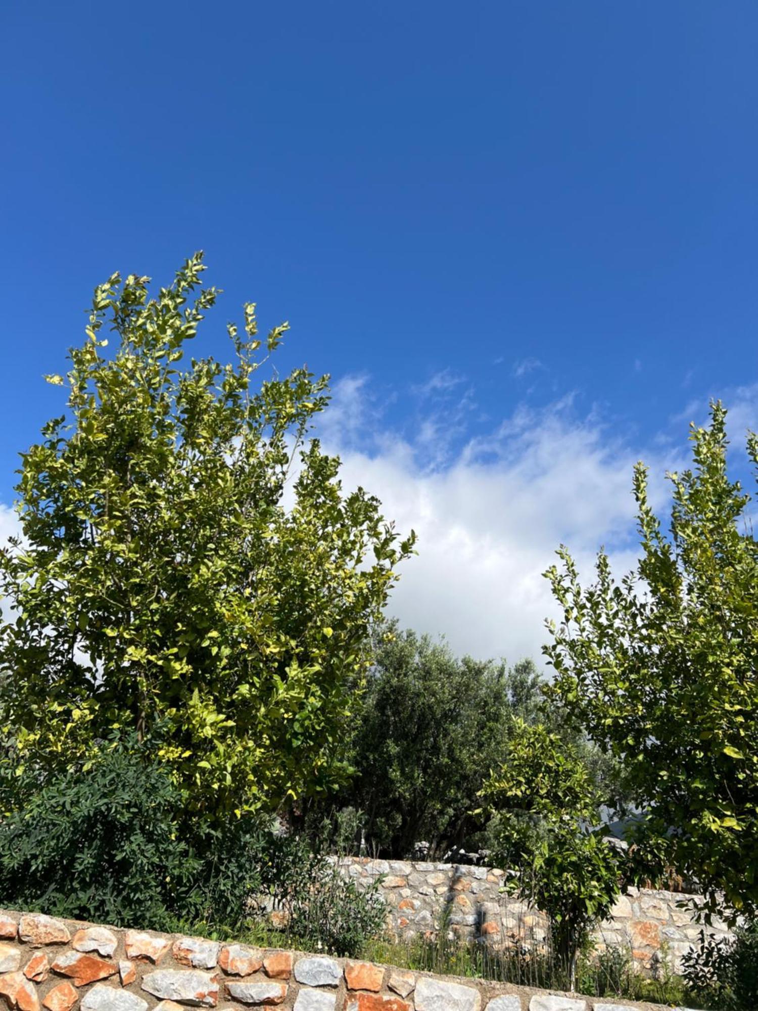 Koukouri Village Kafiona Buitenkant foto