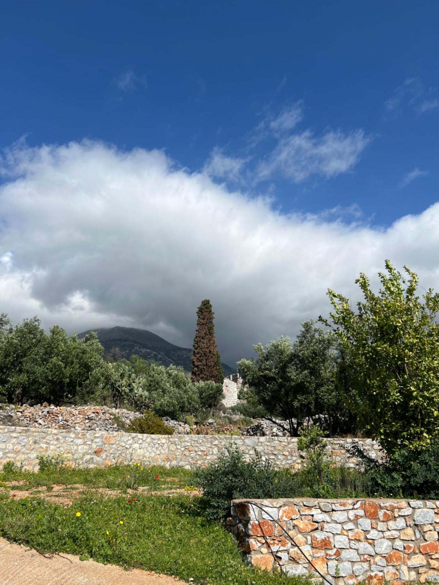 Koukouri Village Kafiona Buitenkant foto